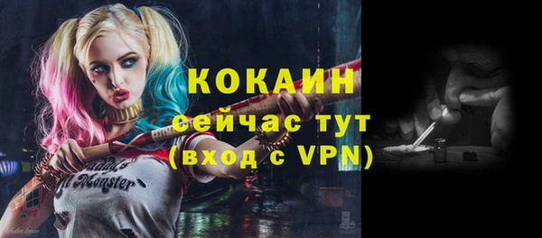 apvp Курчалой