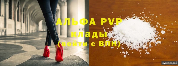 дживик Майский