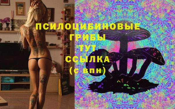 дживик Майский