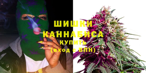 дживик Майский
